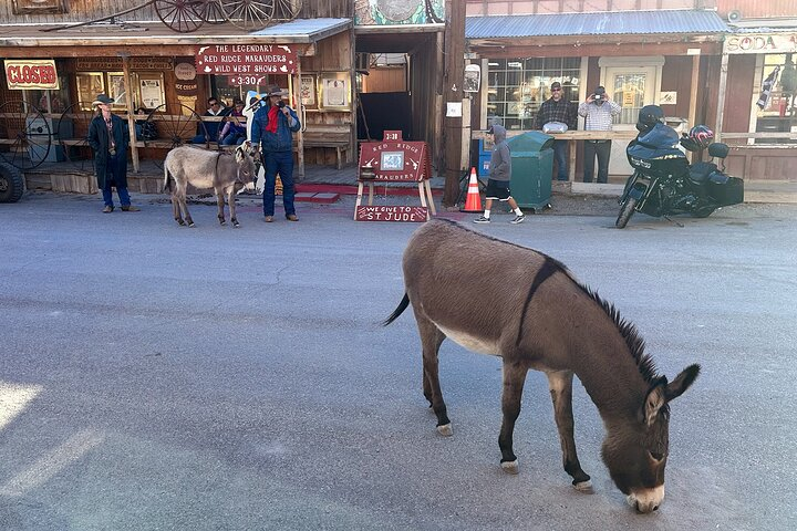 Historic Oatman Mining Village